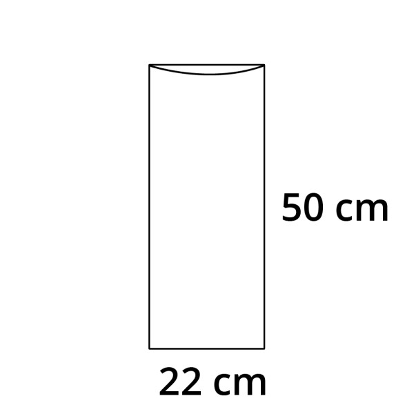 PP sáček plochý bez RZ - 22 x 50 cm - 30 my (100 ks/bal)